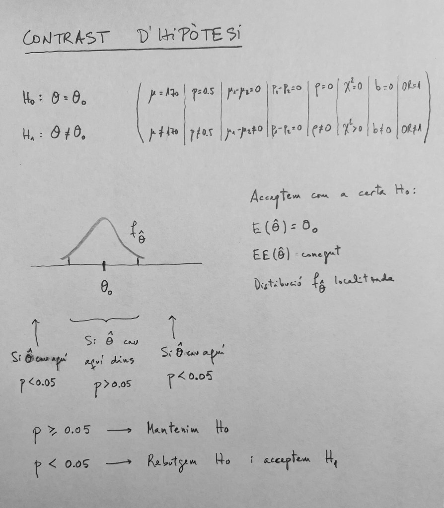 La imagen tiene un atributo ALT vacío; su nombre de archivo es img_1981.jpg